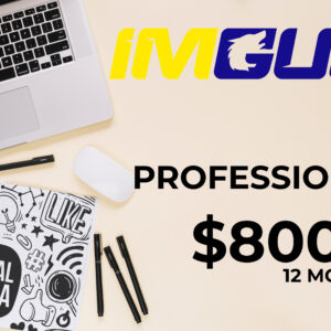 PLAN PROFESIONAL